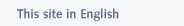 This site in english